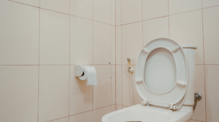 Untitled design - 2026-02-22T014936.062