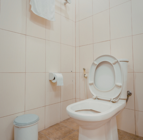 Untitled design - 2026-02-22T014936.062