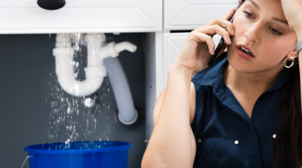 Untitled design - 2026-02-21T210533.199